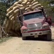 Camión cargado de arroz se vuelca en canal de riego en La Vega; conductor logra salir a tiempo