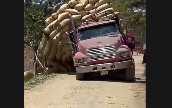 Camión cargado de arroz se vuelca en canal de riego en La Vega; conductor logra salir a tiempo