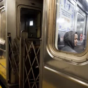 Gobierno Trump pagará fondos para metro de Nueva York pausados por política de diversidad