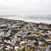Basura y sargazo deterioran la playa Los Gringos en Bajos de Haina
