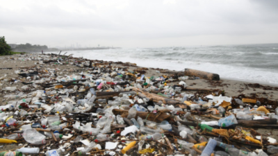 Basura y sargazo deterioran la playa Los Gringos en Bajos de Haina
