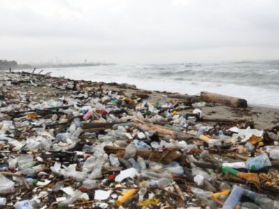 Basura y sargazo deterioran la playa Los Gringos en Bajos de Haina