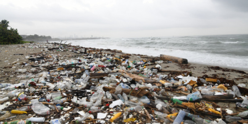 Basura y sargazo deterioran la playa Los Gringos en Bajos de Haina