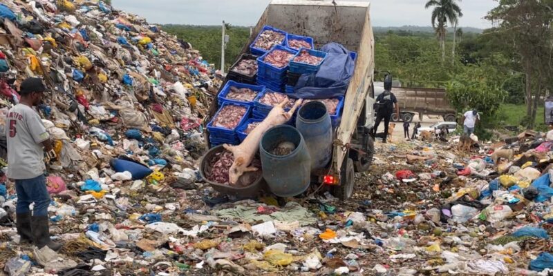 Desmantelan matadero clandestino en Río San Juan y decomisan más de dos toneladas de carne en descomposición
