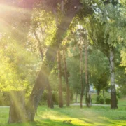 Predominará el sol en gran parte del país, con calor intenso y chubascos aislados