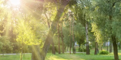 Predominará el sol en gran parte del país, con calor intenso y chubascos aislados