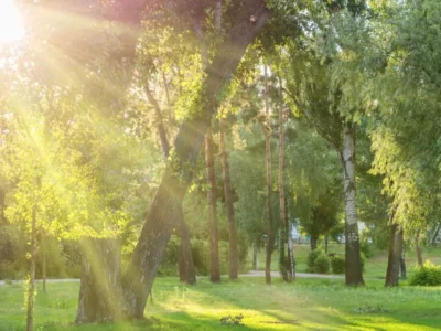Predominará el sol en gran parte del país, con calor intenso y chubascos aislados