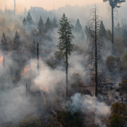 Incendios forestales azotan Europa: decenas de heridos y miles de evacuados