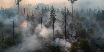 Incendios forestales azotan Europa: decenas de heridos y miles de evacuados