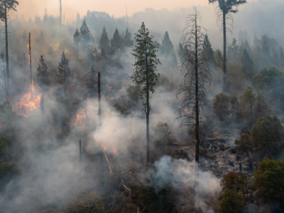 Incendios forestales azotan Europa: decenas de heridos y miles de evacuados