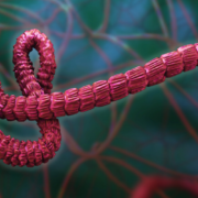 Epidemia de ébola cubre un territorio más grande que Francia y donde no hay liquidez