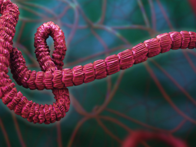 Epidemia de ébola cubre un territorio más grande que Francia y donde no hay liquidez