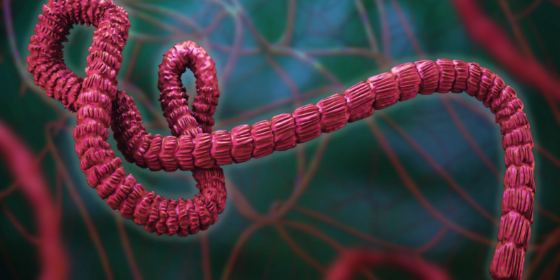 Epidemia de ébola cubre un territorio más grande que Francia y donde no hay liquidez