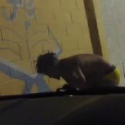 ¡Indignante! Captan a ciudadano lanzando basura a Centro Educativo en El Almirante